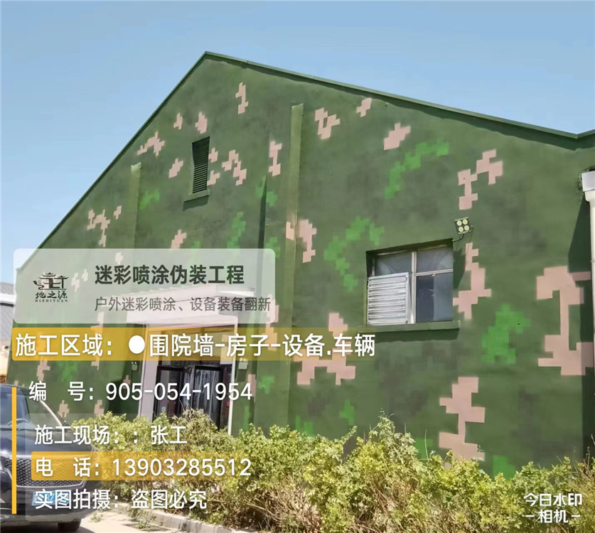 安徽外墙数码迷彩漆施工报价清单(100㎡标准墙面测算)